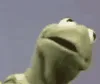 KermitBruh