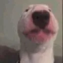walter