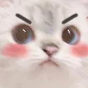 angercat angercat