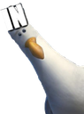 IN Discord emoji