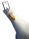 IN