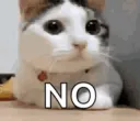 no