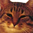 kit kit