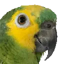 birbsmil