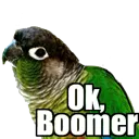 boomer boomer