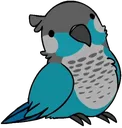 ari