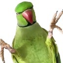 wot