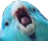 heckoff heckoff