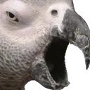 birbpog birbpog