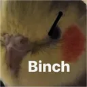 binch binch