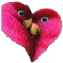 heartborbs heartborbs