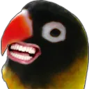 hehe
