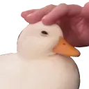 pat pat