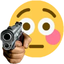 flushgun flushgun