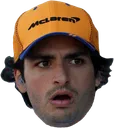 CarlosSainzJr CarlosSainzJr
