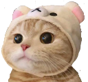 neko_kawaii Discord emoji