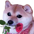 romanticdoge Discord Emoji