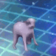 dogpls
