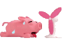 SPCPiggyWarm