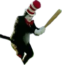 CatBatRev