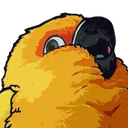 birb birb