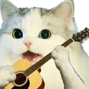 catguitar