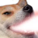 DogeKekLazer Discord Emoji