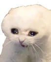 sad_cat
