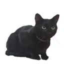 vladut