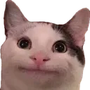 bruhkitty