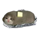 potatocat