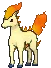 ponyta