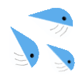 whalecum