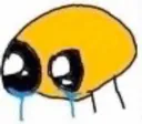 cri