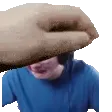 PETTHECARSON