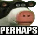 perhaps