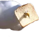 breadgull