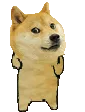 dancedoge