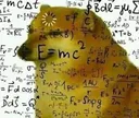 mathdoggi