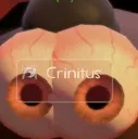 eyes