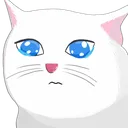 CMM_ellysobs