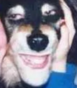 dogsmile Discord emoji