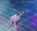 dance_till_your_dead