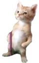 catvibe
