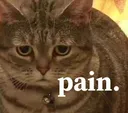 pain