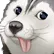 blepdog