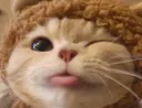 D2S_C_mlemwink