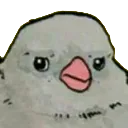 birbo birbo