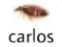 carlos