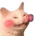 Blush_Cat